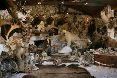 Необычайное хобби, которое может быть у милых девушек