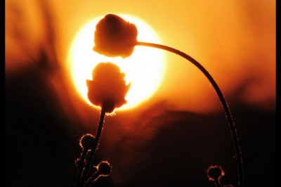 Правда ли, что если два человека  друг для друга родственные души, то любовь всегда найдет способ соединить их