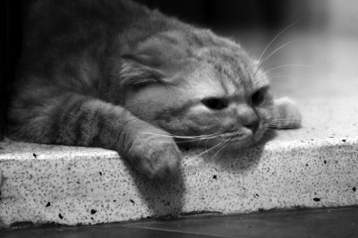 5 признаков того, что у вашего партнера депрессия