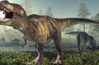 Как на самом деле выглядели тираннозавры?
