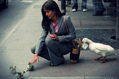  3 распространенных способа  обмана туристов