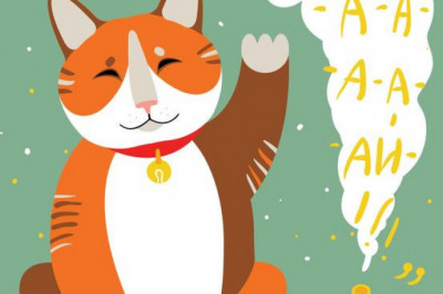 Интересные факты о саке