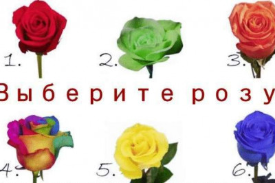 Простой психологический тест, который немного раскроет ваш характер