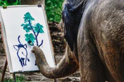 Как слоны рисуют картины...