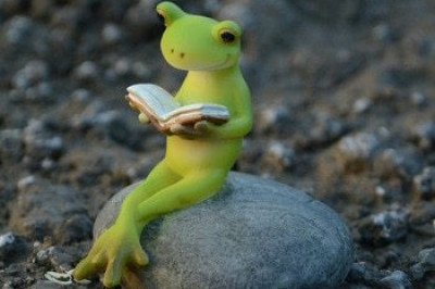 Топ самых крошечных животных