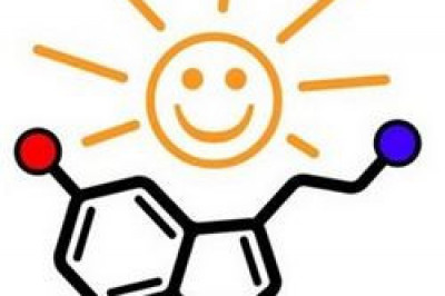 За что отвечает гормон счастья серотонин?