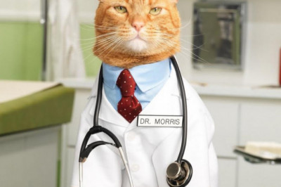 Медицинские обязанности у некоторых животных