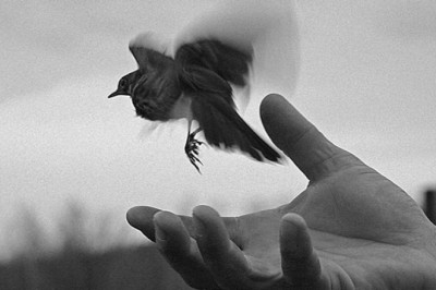 Правда ли, что отсутствие привязанности есть счастье?