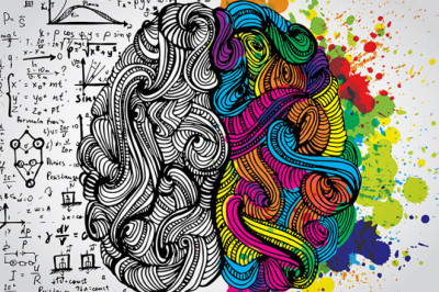 Почему мозг поделен на 2 полушария?