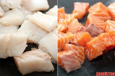 Отчего рыба делится на красную и белую?