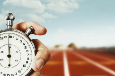 Кто из птиц и зверей самый быстрый?