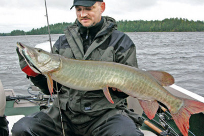 Является ли слово 