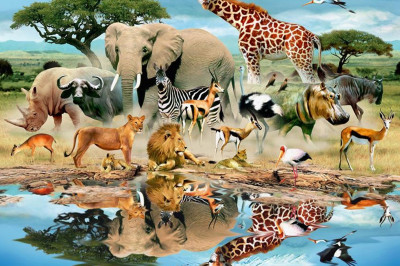 11 необычайных фактов о представителях природы