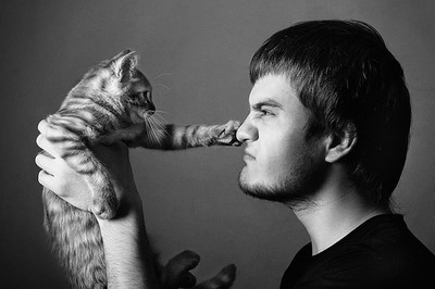 Что владельцы кошек должны знать о своих питомцах?