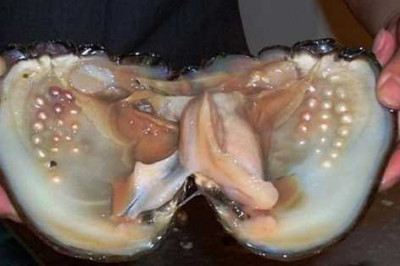 Правда ли, что в России тоже добывали жемчуг?