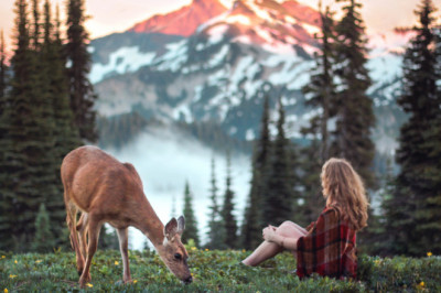 Правда ли, что природа исцеляет?