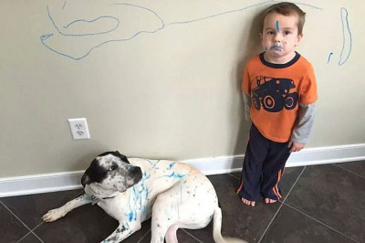 5 простых способов избавления обоев от пятен чернил