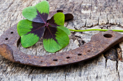 5 способов привлечения удачи и благополучия в дом