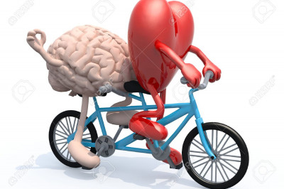 Велосипед для укрепления сердечно-сосудистой системы