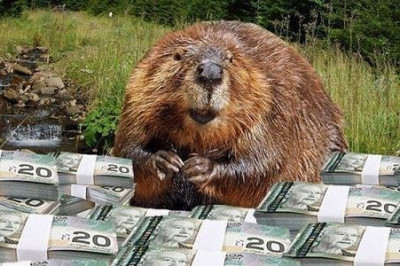 История о том, как бобры плотину из долларов строили