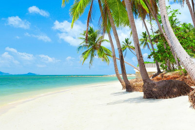 7 любопытных фактов о тайцах и их стране