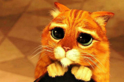 Как чрезмерная воспитанность может портить жизнь?