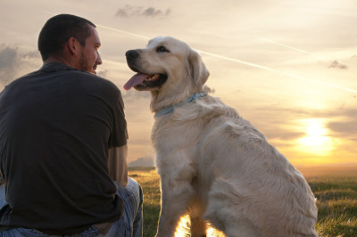 Почему принято считать, что 