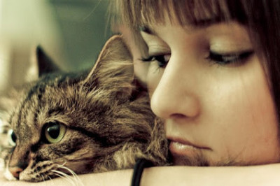 О полезности мурлыканья  для людей и котов