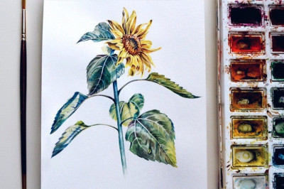 С какой тематики рисунков лучше начать художникам-новичкам?