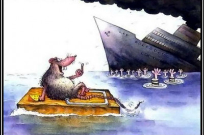 Отчего крысы первыми покидают корабль?
