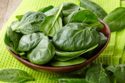 Чем полезен шпинат?