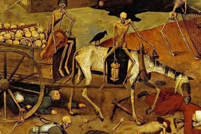 Откуда пришла 