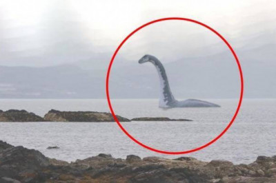 Существует ли на самом деле  лохнесское чудовище?