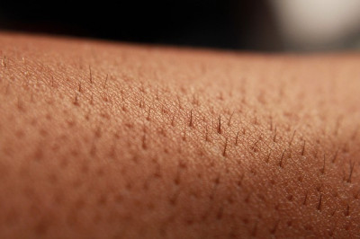 Как избавиться от волос на теле?