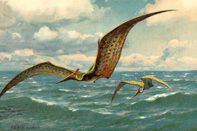 Кто такой птеродактиль- птица или динозавр?