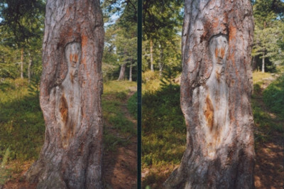 Что такое карсикко?