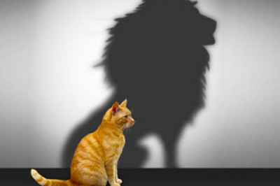 3 упражнения,   которые быстро  