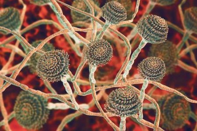 Правила безопасности при выборе и хранении продуктов