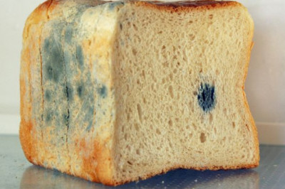 Что будет, если съесть мучное изделие с плесенью?