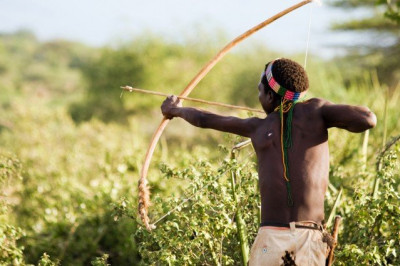 Будет ли ядовитым мясо животного, которое убито стрелой с токсином?