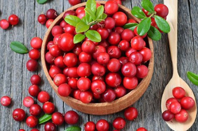 Брусника для здоровья волос и кожи