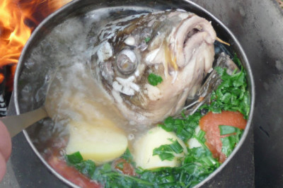 В чем разница между ухой и рыбным супом?