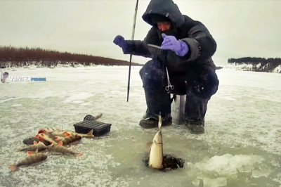 Чем притягательна зимняя рыбалка?