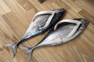 Что подарить своему другу?