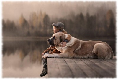  6 самых преданных пород собак