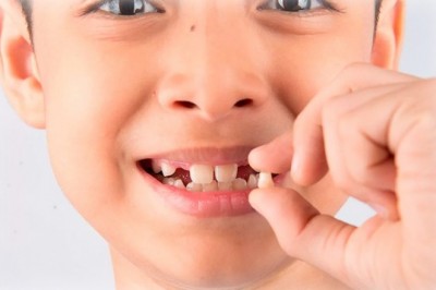 Бывают ли молочные зубы  у взрослых?